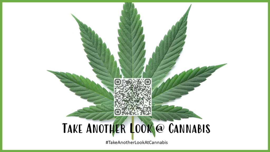 Take another look at cannabis. Click here to see the AD.